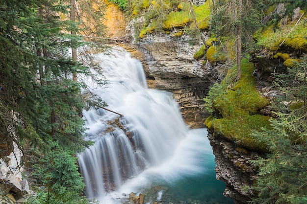 Cascate superiori del canyon di Johnston a banff canada