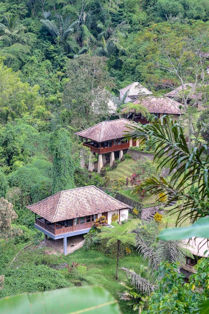 Case balinesi con vista sulla foresta pluviale tropicale e sulla montagna Bali Indonesia