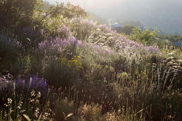 Case di campagna e biodiversità nelle montagne del Tauro di Konya in Turchia