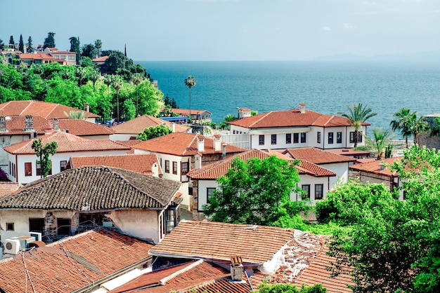 Case e alberi sul mare contro il cielo