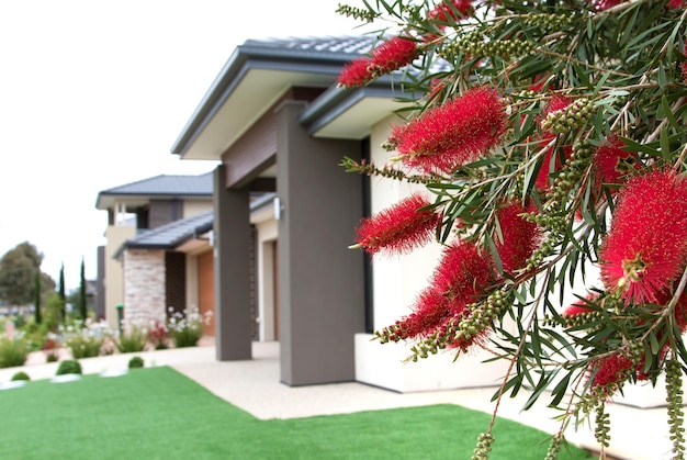 Case eleganti e contemporanee Melbourne Australia con Red Flowering Gum