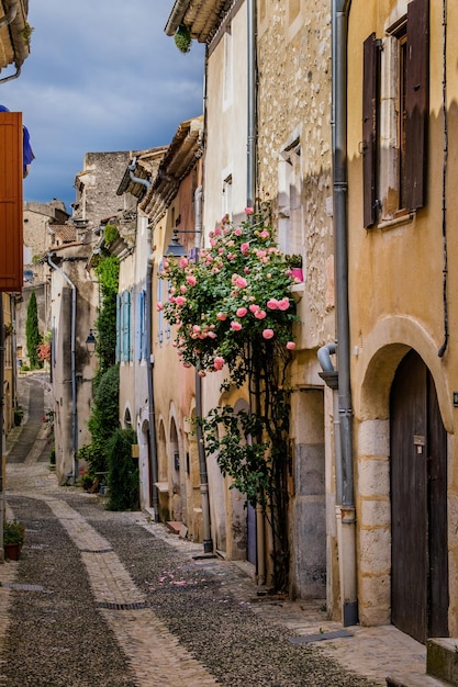 Case medievali e strade di ciottoli nel villaggio di Rochemaure, nel sud della Francia, Ardeche