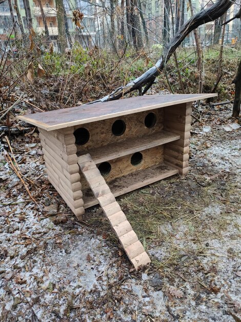 Casetta in legno nel bosco per gatti