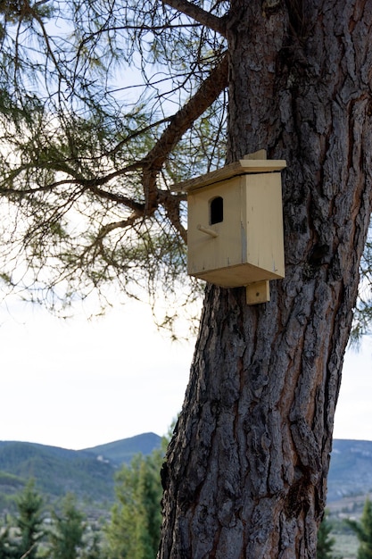 Casetta per uccelli in legno su un albero