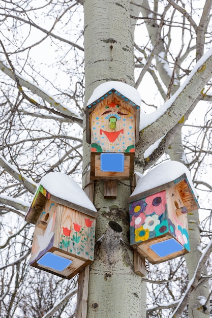 Casette per uccelli sorridenti. Birdhouse sotto forma di una faccia buffa sull'albero. Nido di legno fatto a mano coperto di neve. Paesaggio invernale con alberi coperti di neve e copia spazio.