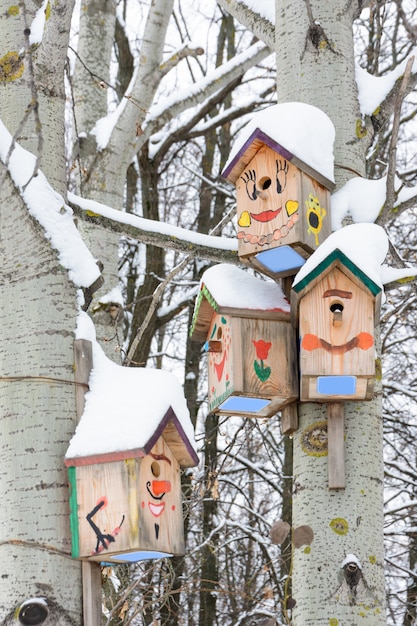 Casette per uccelli sorridenti. Birdhouse sotto forma di una faccia buffa sull'albero. Nido di legno fatto a mano coperto di neve. Paesaggio invernale con alberi coperti di neve e copia spazio.