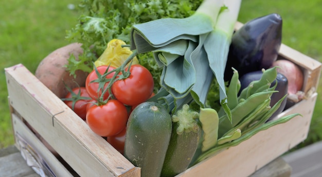 Cassa piena di verdure fresche, mettere su un tavolo in un giardino