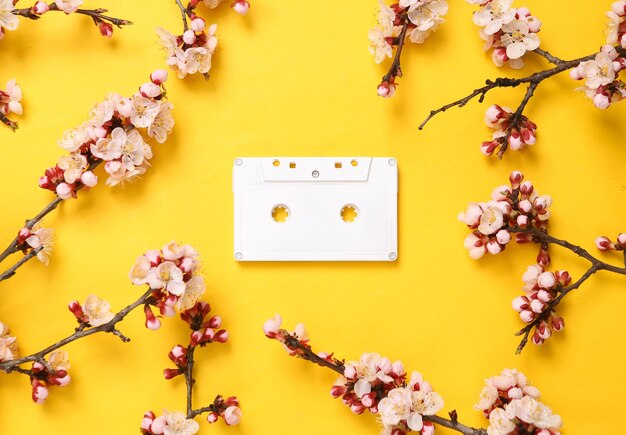 Cassetta audio retrò con bellissimi rami fioriti bianchi su sfondo giallo Concetto musicale primaverile Vista dall'alto piatta