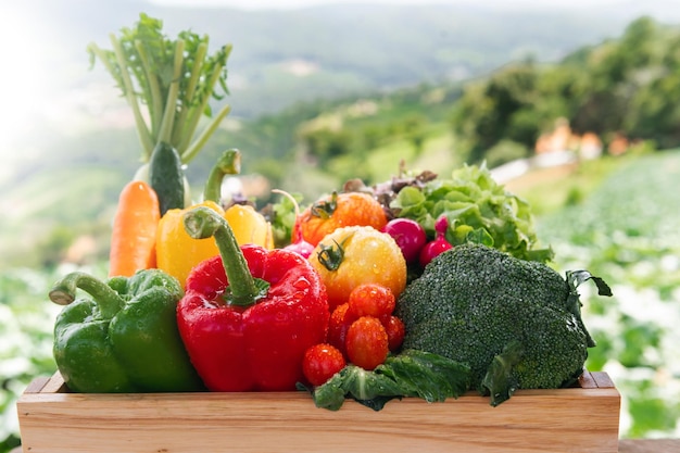 Cassetta di legno piena di verdure biologiche fresche xA