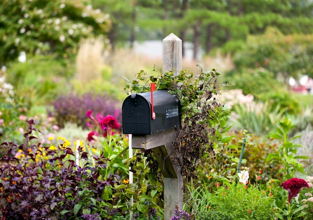 Cassetta postale degli Stati Uniti con bandiera alzata in fiori