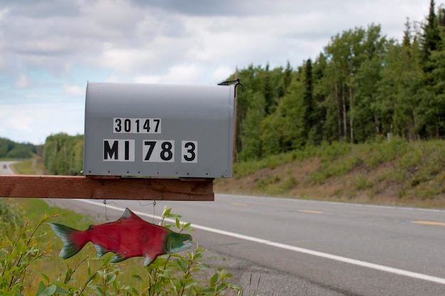 Cassetta postale di salmone rosso su una strada nella penisola di Kenai, Alaska