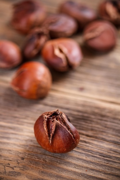 Castagne commestibili