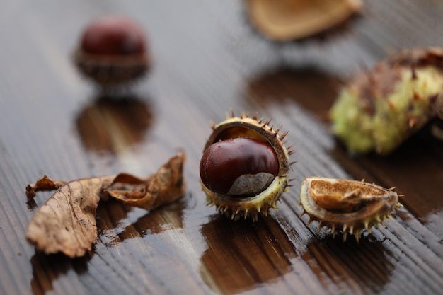 castagne e foglie autunnali su sfondo bagnato in legno con spazio di copia