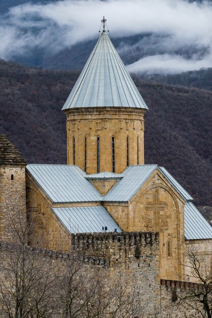 Castello di Ananuri in una giornata di sole invernale. Georgia