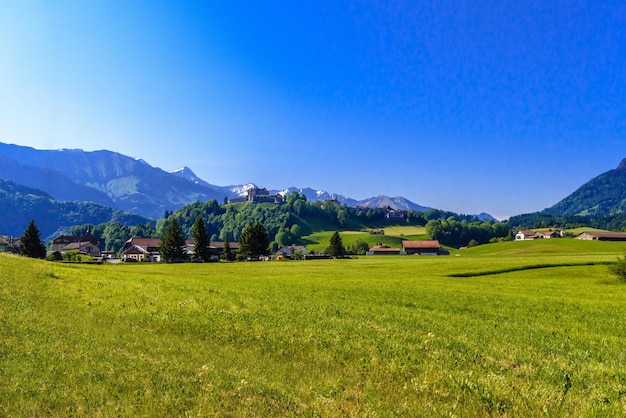 Castello di Gruyères con prati verdi HautIntyamon Gruyere F