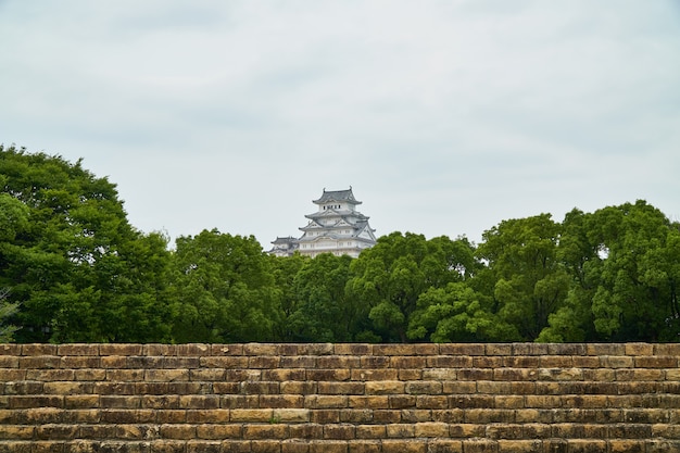 Castello di Himeji con albero e il vecchio muro