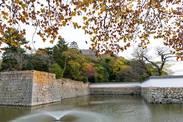 Castello di Marugame in autunno