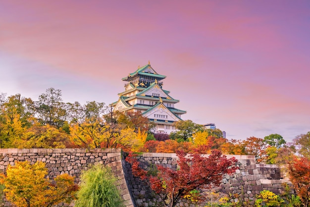 Castello di Osaka a Osaka, Giappone in autunno