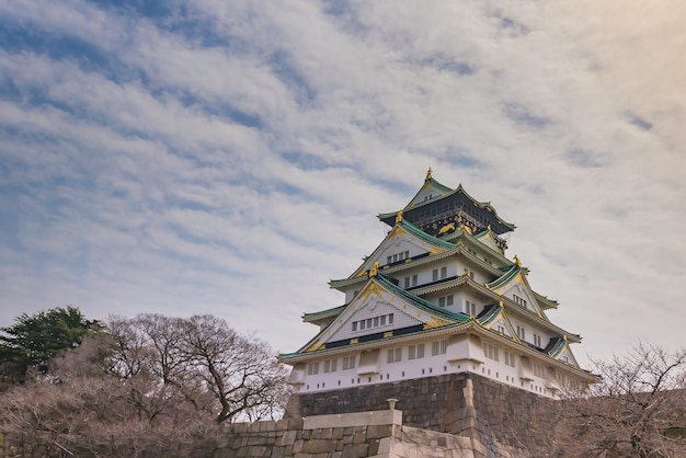 Castello di Osaka in Giappone.