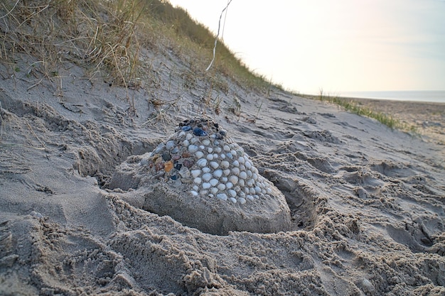 Castello di sabbia con conchiglie e sabbia Fossato intorno al castello di fronte alle dune Danimarca