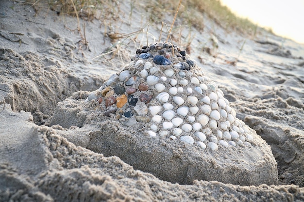 Castello di sabbia con conchiglie e sabbia Fossato intorno al castello di fronte alle dune Danimarca