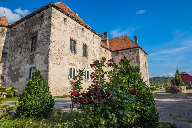 Castello di San Miklos Castello di Chinadiyev Castello di Cinadiyev noto anche come Castello di Sant'Miklos