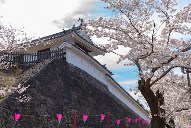 Castello di Shiroishi con fiori di ciliegio e cielo blu