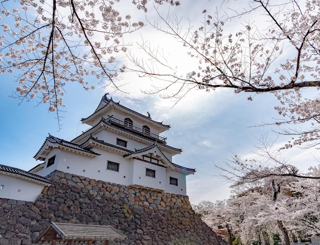 Castello di Shiroishi con fiori di ciliegio e cielo blu