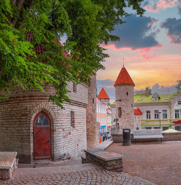 Castello di Tallinn