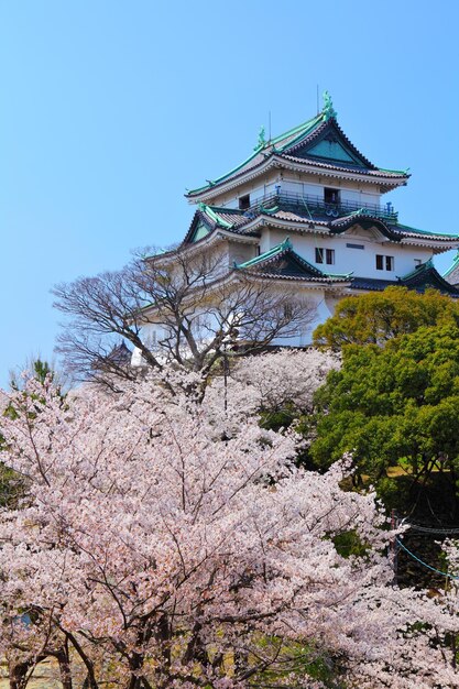 Castello di Wakayama