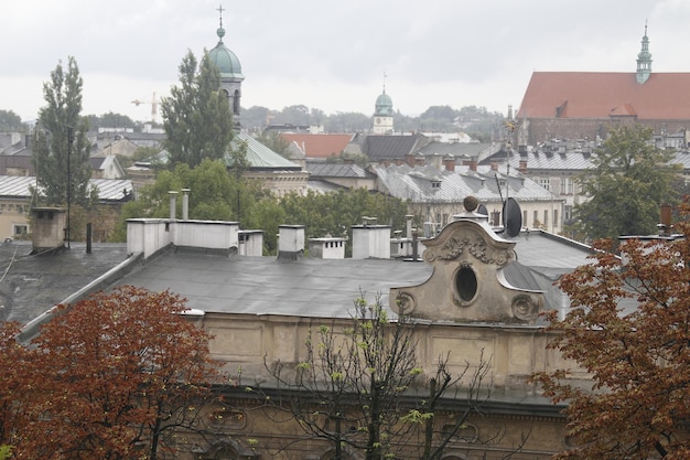 Castello di Wawel Città di Cracovia Polonia