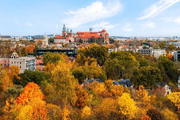 Castello di Wawel e vista panoramica della città Cracovia Polonia Paesaggio sulla costa del fiume Wisla