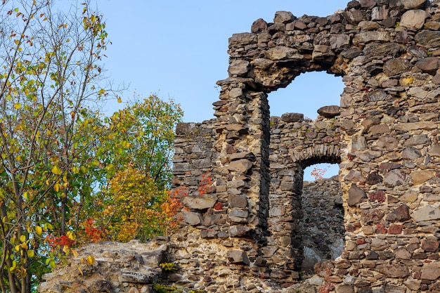 Castello Nevitsky in Zakarpatyya Ucraina