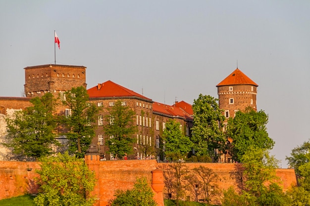 Castello reale di Wawel Krarow