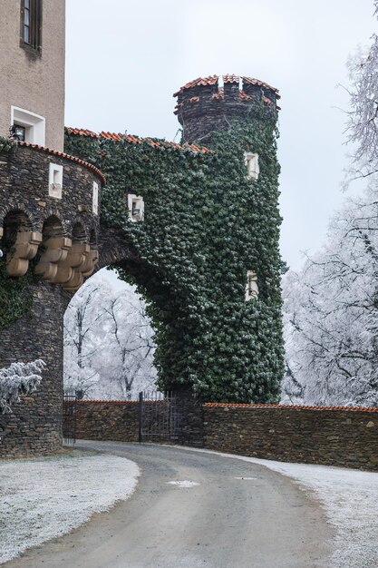 Castello Zleby in inverno Repubblica Ceca