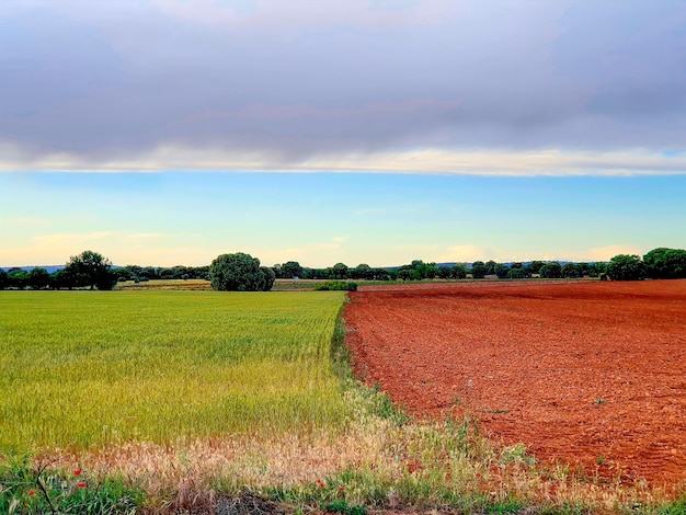 Castiglia la Mancia Paisajes Albacete