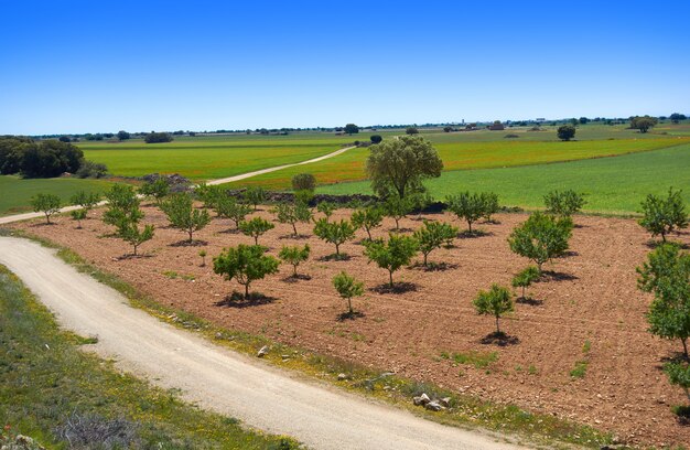 Castilla La Mancha saint James Way