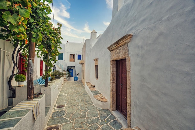 Castro nel villaggio di Chora Folegandros