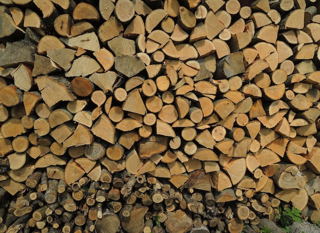 Catasta di legna di fondo di struttura di tronchi di quercia rossa interi e tagliati