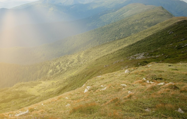 Catena montuosa dei Carpazi al mattino d'estate Bellezza della natura selvaggia vergine ucraina Tranquillità