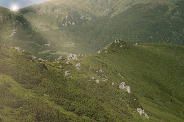 Catena montuosa dei Carpazi al mattino d'estate