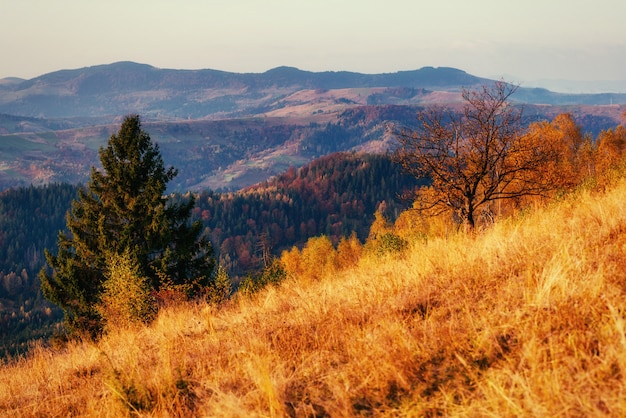 catena montuosa nei Carpazi nella stagione autunnale.