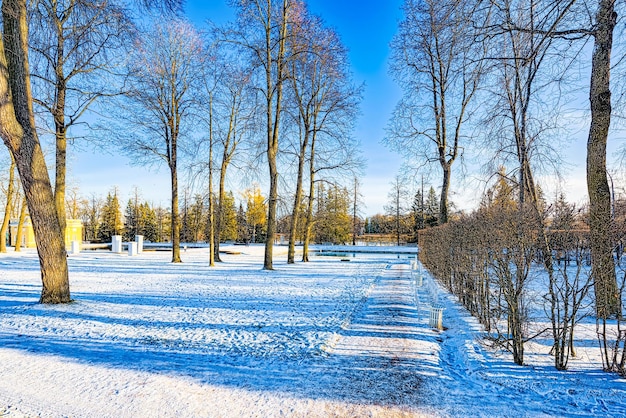 Catherine Park vicino al palazzo con lo stesso nome Tsarskoye Selo Pushkin San Pietroburgo Russia