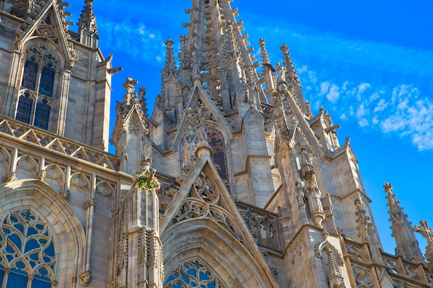 Cattedrale di Barcellona a las ramblas spagna