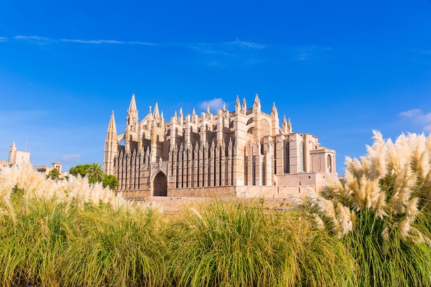 Cattedrale di Maiorca Palma Seu Seo di Maiorca