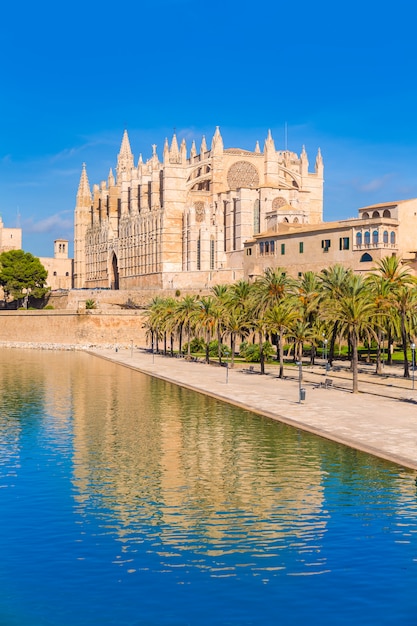 Cattedrale di Maiorca Palma Seu Seo di Maiorca