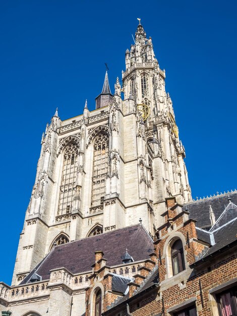 Cattedrale di Nostra Signora ad Anversa in Belgio OnzeLieveVrouwekathedraal con edifici circondati