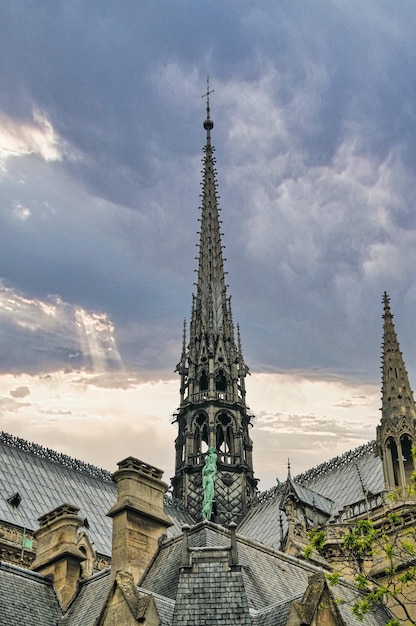 Cattedrale di Notre Dame a Parigi