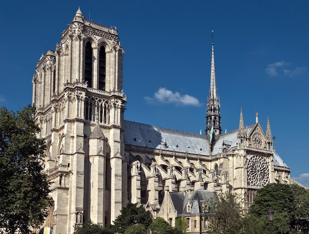 Cattedrale di Parigi di Notre Dame