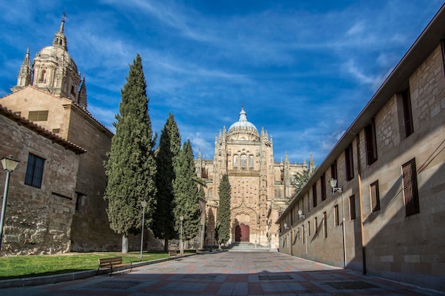 Cattedrale di Salamanca